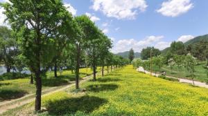 가평군, 자라섬 남도 일원 5만㎡ 꽃테마공원 조성