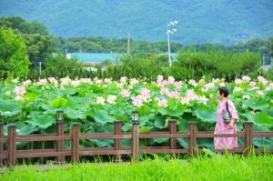 마을공동체를 통해 농촌을 살리는 포천시 마을기업 ‘울미연꽃마을’