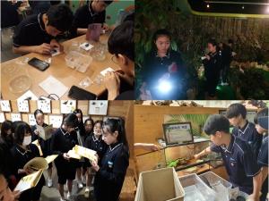 여주곤충박물관, 2019년 우수 청소년인증수련활동 선정