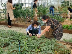 이천시, 2022년 초보 도시농부 체험교실 2학기 교육생 모집